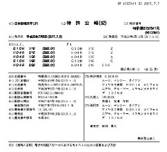 Japan Patent